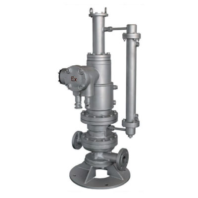 Gas Seal Slurry Handling Type Motor Pump